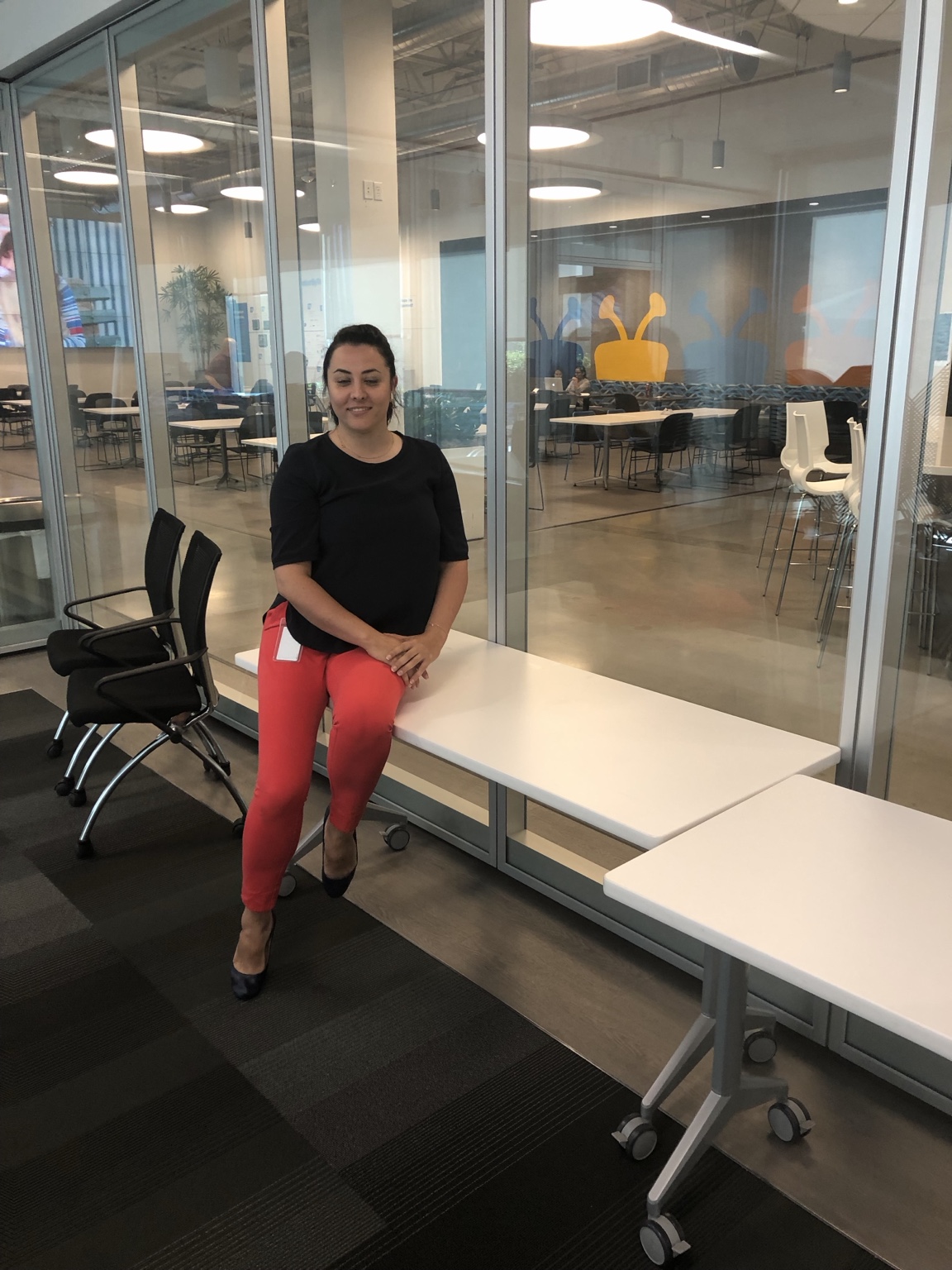 Atoosa Biglari on the TiVo project as project manager